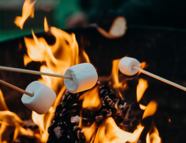 smoresleon-contreras-447372-unsplash-1140x759